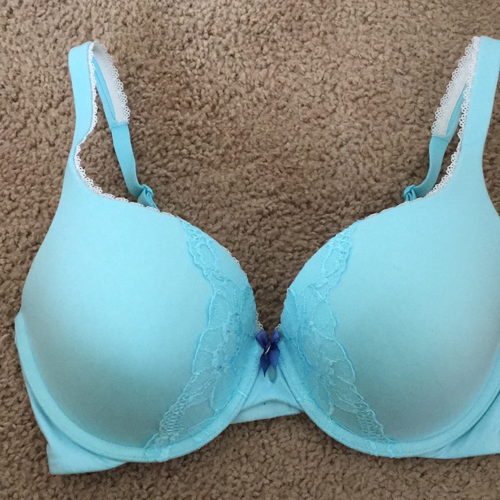 Body by Victoria Perfect Fit 32DD blue Bra